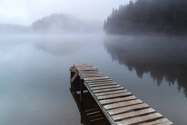 Masse en bois dans un lac brumeux — Photo