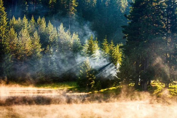 湖で木漏れ日と蒸気 — ストック写真