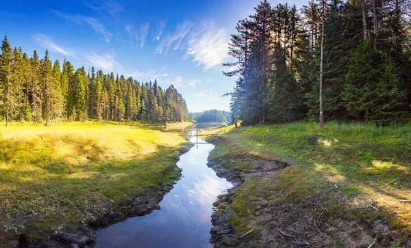 Göl ve orman ile mükemmel doğal peyzaj