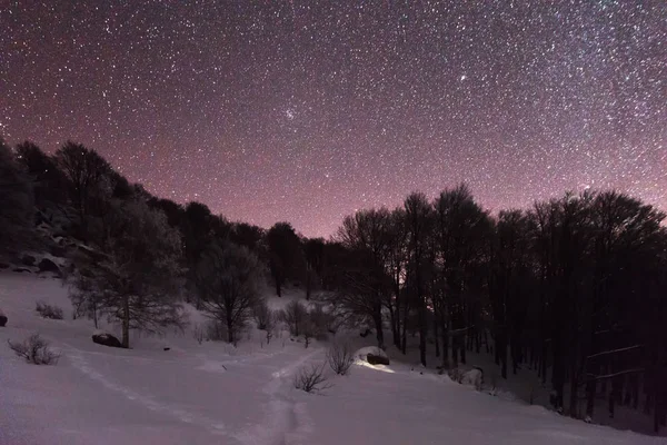 Gwiazdy niebo i ciemnego lasu, w góry — Zdjęcie stockowe