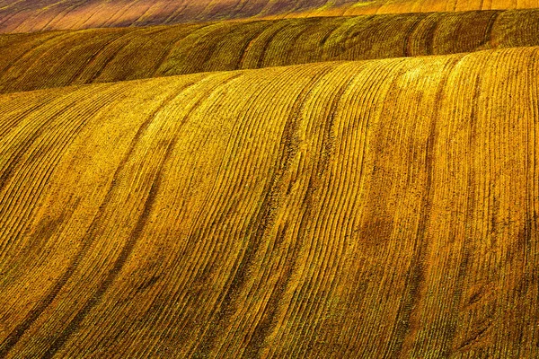 Campo marrone ondulato pronto per la semina — Foto Stock