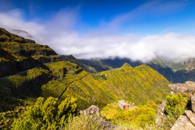 Madeira Adası ekolojik Parkı