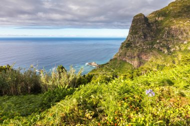 Madeira Coast Yeşil uçurum