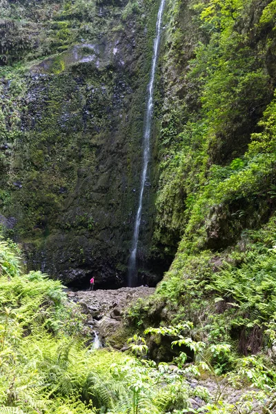 High fall in Madeira island — Stock Photo, Image