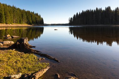 Sakin göl kıyı şeridi