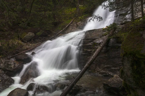 Wild River — Stock Photo, Image