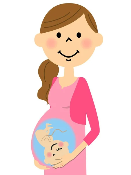 Pregnant woman in the pregnancy latter period — Stock Vector