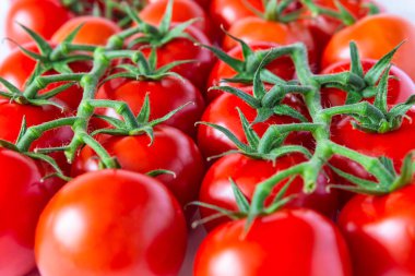 Domatesler dalda, yakın plan. Gıda sebze geçmişi.
