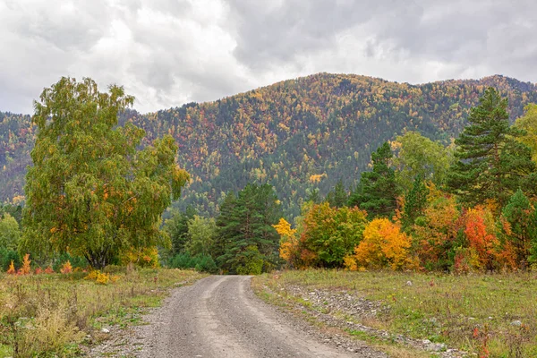 Golden autumn, dirt road in the mountains