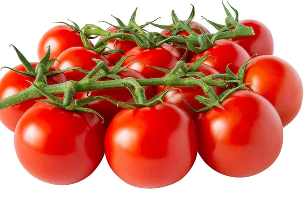 Domates dalı. Tam alan derinliği.