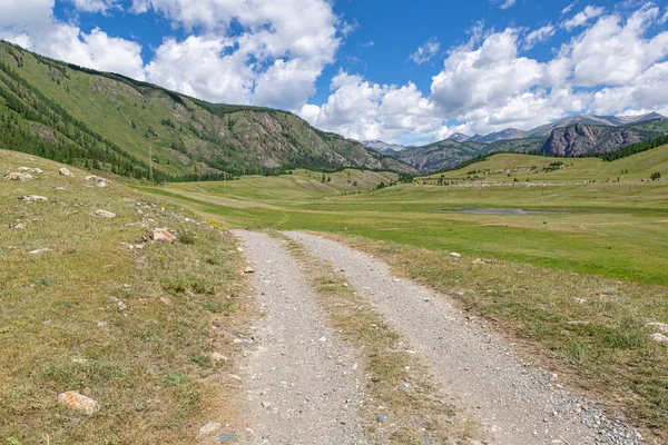 Altai dağlarında güzel toprak yol, arka tarafa karşı.