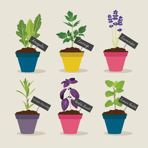 Herb garden with pots of herbs set 4 Royalty Free Stock Illustrations