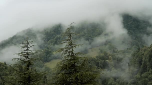 Nebbia in montagna — Video Stock