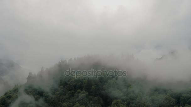 Nebbia in montagna — Video Stock