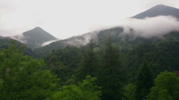 Nebbia in montagna — Video Stock