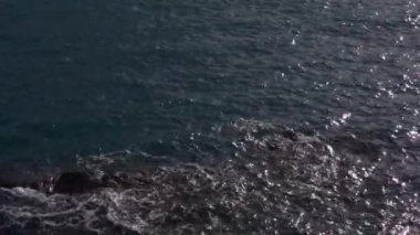 Deniz reef
