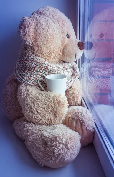 Björn sitter och tittar i fönstret — Stockfoto
