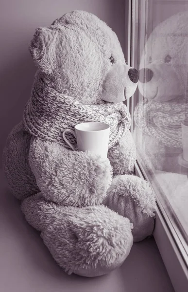 Urso sentado e olhando na janela — Fotografia de Stock