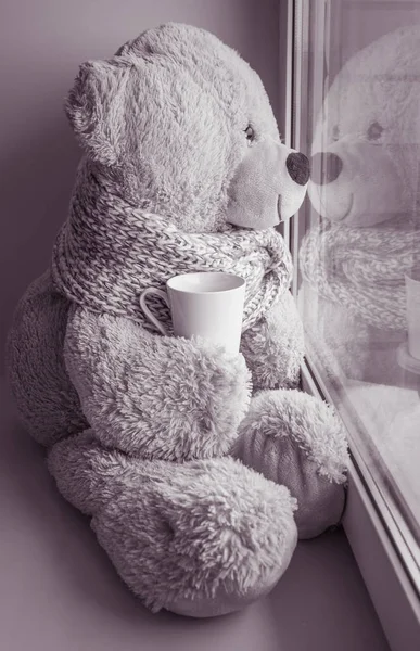 Bear sitting and looking in the window — Stock Photo, Image