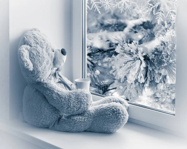 Bear sitting and looking in the window — Stock Photo, Image