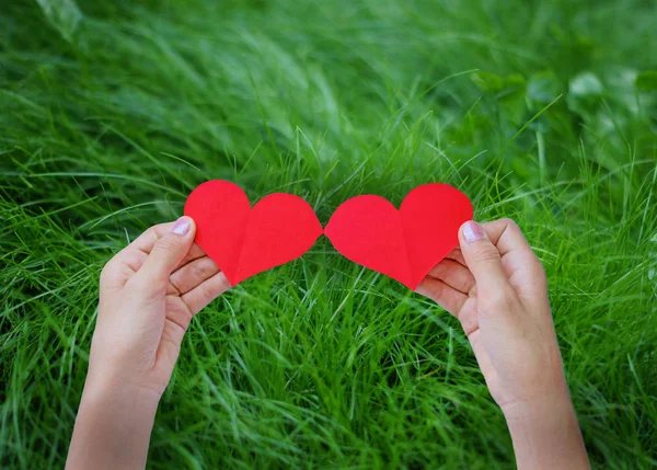 Coração vermelho na grama verde — Fotografia de Stock