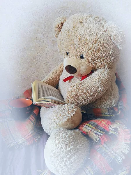 Teddy bear reading a book — Stock Photo, Image