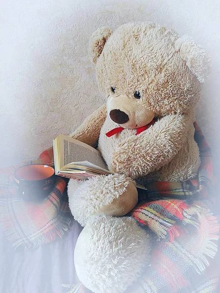 Teddy bear lezen van een boek — Stockfoto