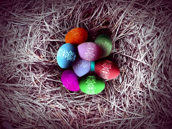 Ovos de Páscoa no ninho. — Fotografia de Stock