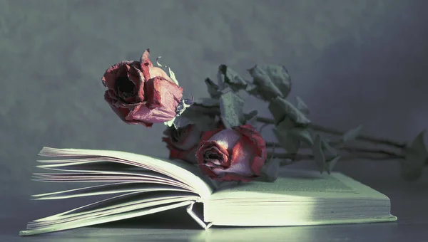 Dried flowers lie on a book