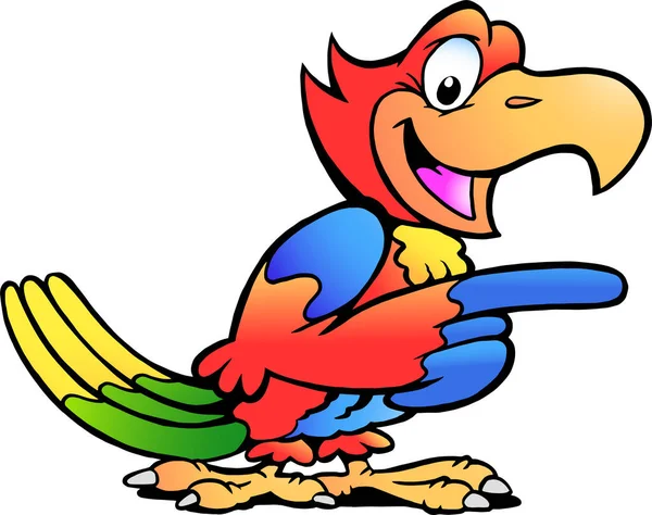 Vector Cartoon Ilustração Feliz Apontando Papagaio Bird Gráficos De Vetores