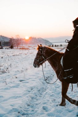  At üstünde bir gün batımı ile ulusal Asya Süvari