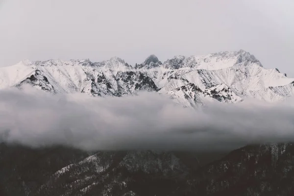 Montanhas pretas e brancas no inverno — Fotografia de Stock