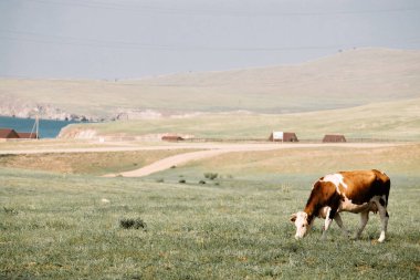 Klasik Sibirya köyü manzarası