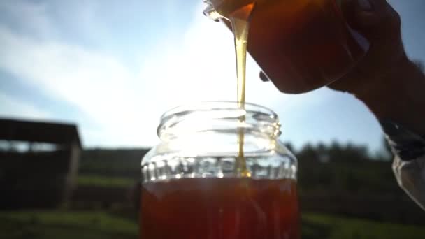Honig Der Flasche — Stockvideo