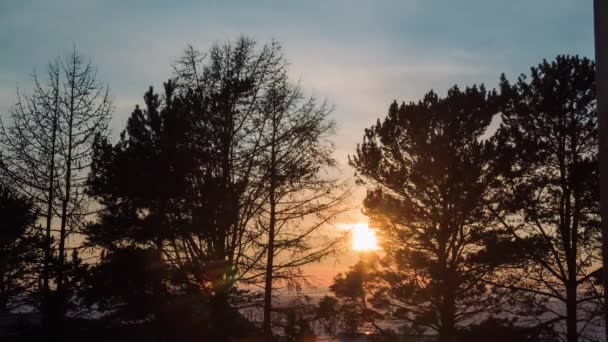 在冬眠的树上拍出落日的照片 — 图库视频影像