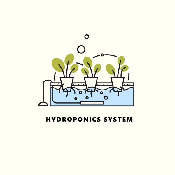 Sistema hidropónico. Ilustración vectorial en estilo de contorno. Concepto de agricultura doméstica . — Archivo Imágenes Vectoriales