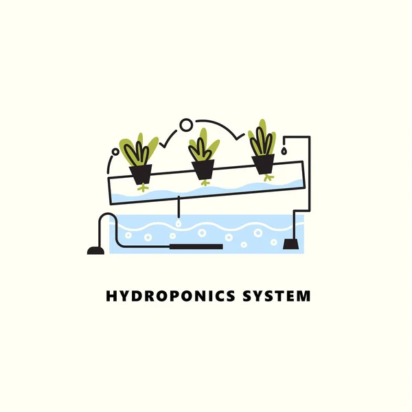 Sistema hidropónico. Ilustración vectorial en estilo de esquema . — Archivo Imágenes Vectoriales