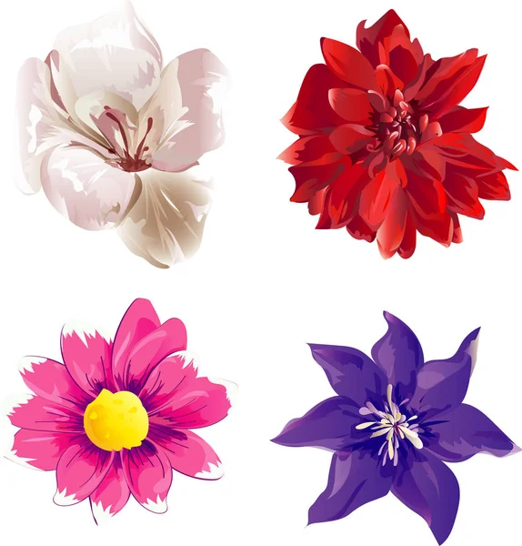 four flowers pink, red, white,violet