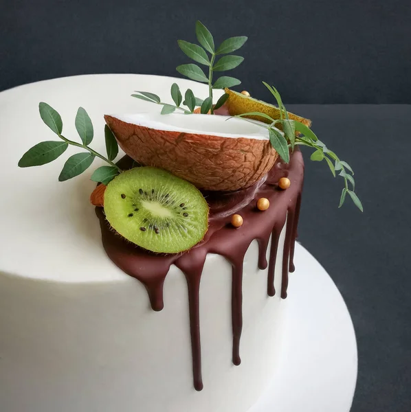 Beautiful tropical Cake with chocolate island with coconut and kiwi on a dark backgroun