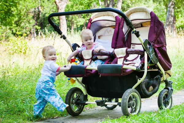 Meninas gêmeas caminham no parque — Fotografia de Stock