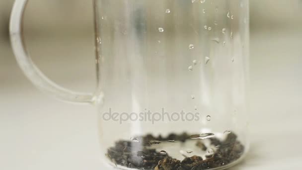 Tea being poured into glass teapot. Pouring healthy green tea. — Stock Video