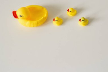 Bath toy row of yellow ducks on white background clipart