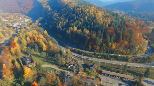 Letecký pohled na les pod mraky během podzimu. 4k. — Stock video