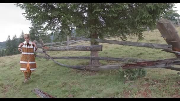 Una chica en ropa nacional ucraniana camina por el bosque, el buen tiempo, la niña sonríe, tiene buen humor . — Vídeo de stock