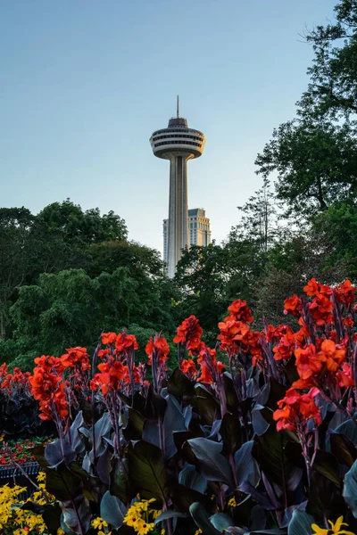 Niagara Falls City çiçek ve Skylon Kulesi