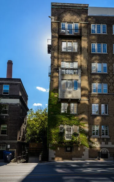 Güneş windows yansıması