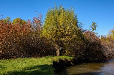 Akşam nehir yukarıda sonbahar ormandaki