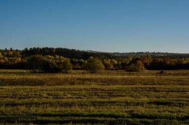 Sonbahar alan akşamları