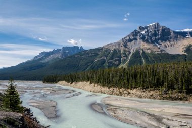 Rocky Dağları. Kanada. Icefields parkway, Sunwapta Nehri
