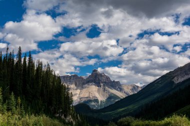 Rocky Dağları. Kanada. Icefields parkway.